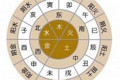 金木水火土 年份|用出生年查询五行